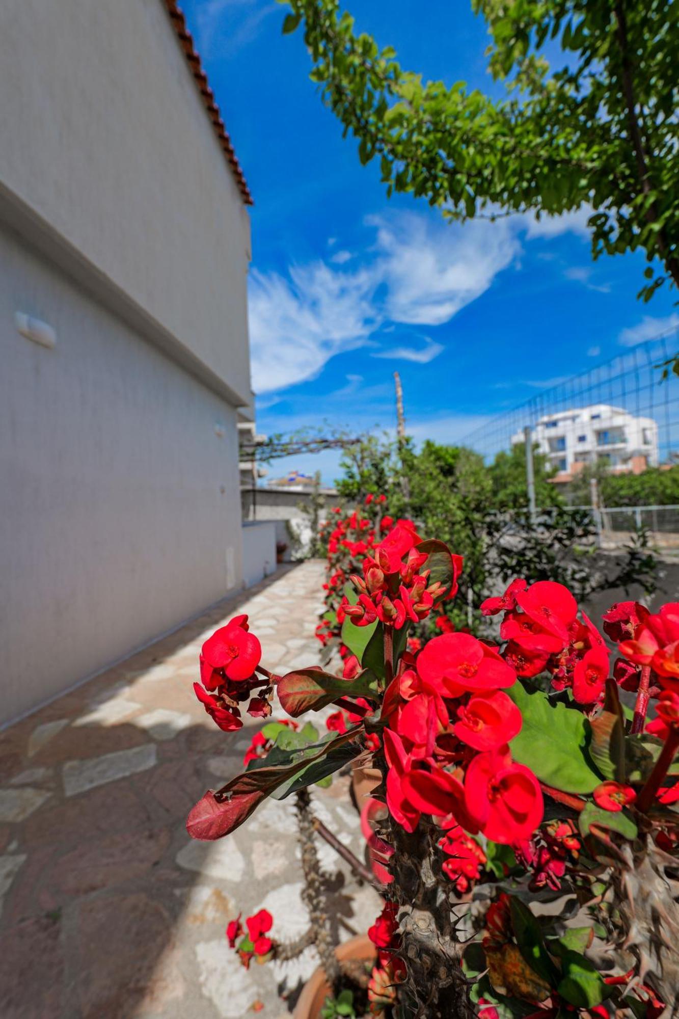 Apartament Moonlight Downtown Ksamil